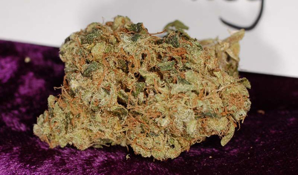Chemdawg
