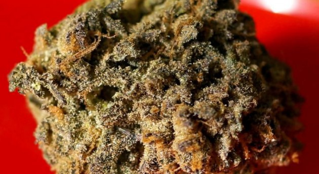Cherry Pie