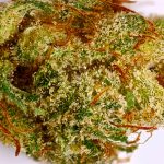 Dutch Treat