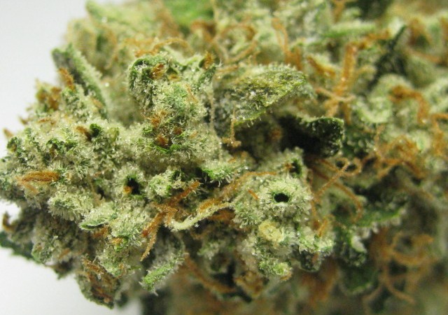 Fire OG Kush
