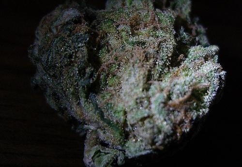 G13