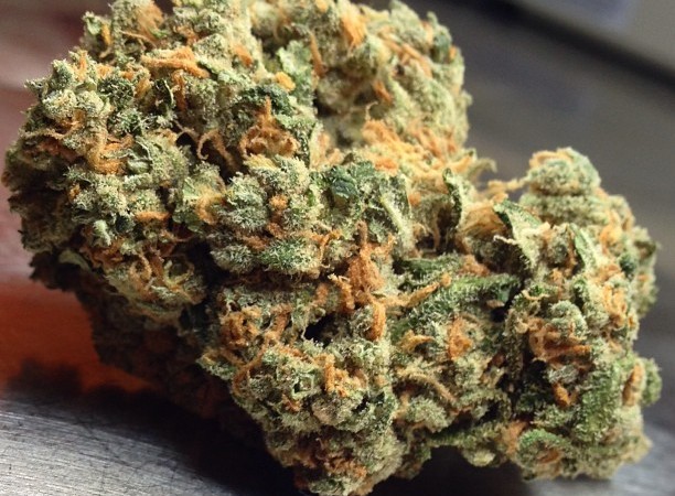 Green Crack