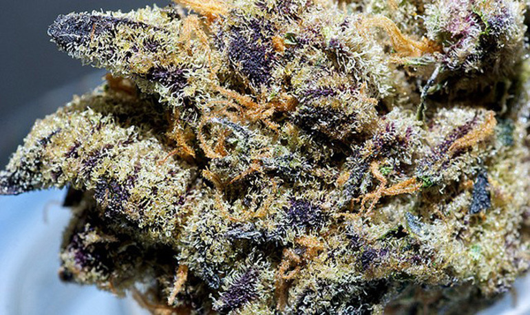Platinum Girl Scout Cookies
